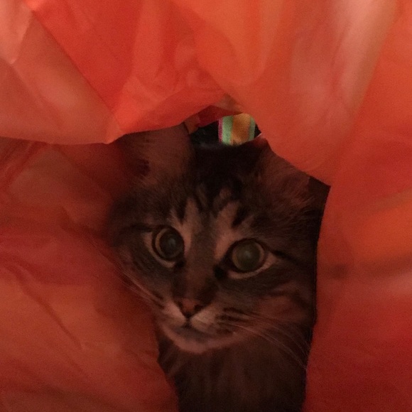 Meet your Posher, K! - Picture 5 of 7